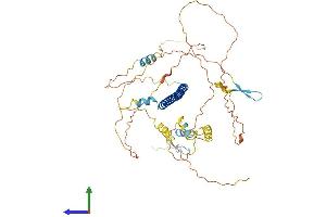 Protein Structure (PS) image for Activating Transcription Factor 2 (ATF2) (AA 1-487) protein (His tag) (ABIN7562909)
