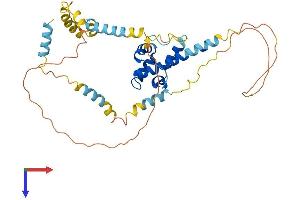 Synapse Associated Protein 1 (SYAP1) (AA 1-365) protein (His tag)