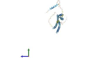 Protein Structure (PS) image for Syntaxin 18 (STX18) (AA 1-335) protein (His tag) (ABIN7544025)