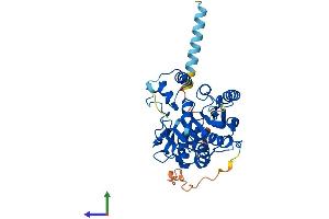 Protein Structure (PS) image for beta-1,3-N-Acetylglucosaminyltransferase 7 (B3GNT7) (AA 1-397) protein (His tag) (ABIN7559436)