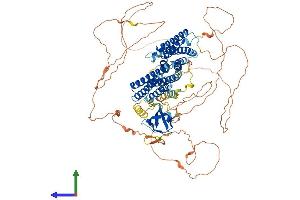 Protein Structure (PS) image for Neural Precursor Cell Expressed, Developmentally Down-Regulated 9 (NEDD9) (AA 1-833) protein (His tag) (ABIN7562277)