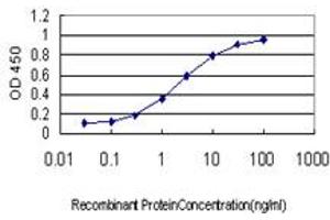 Detection limit for recombinant GST tagged TRIM63 is approximately 0. (TRIM63 抗体  (AA 254-352))