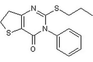 Chemical structure of BC-11-38 , an inhibitor.