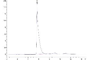 Size-exclusion chromatography-High Pressure Liquid Chromatography (SEC-HPLC) image for C-Type Lectin Domain Family 1, Member A (CLEC1A) (AA 74-280) protein (Fc Tag) (ABIN7274352)