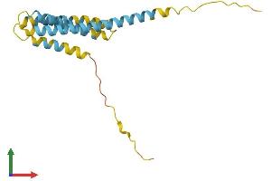 Protein Structure (PS) image for CKLF-Like MARVEL Transmembrane Domain Containing 1 (CMTM1) (AA 1-169) protein (His tag) (ABIN7546524)