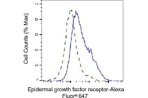 Validation of Epidermal growth factor receptor knockdown using flow cytometry. (EGFR 抗体)