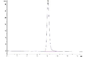Size-exclusion chromatography-High Pressure Liquid Chromatography (SEC-HPLC) image for Complement Decay-Accelerating Factor (CD55) (AA 36-350) protein (His tag) (ABIN7274191)