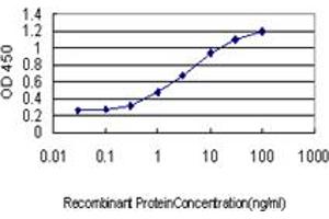 Detection limit for recombinant GST tagged AKAP13 is approximately 0. (AKAP13 抗体  (AA 1-110))