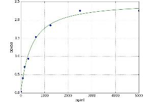 Basigin (Ok Blood Group) (BSG) ELISA Kit