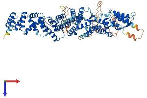 INTS10 Protein (AA 1-710) (His tag)