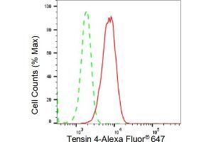 Flow cytometric analysis of Tensin 4 expression in HepG2 cells using Tensin 4 antibody (ABIN7800531), 1:2,000). (Recombinant Tensin 4 抗体)