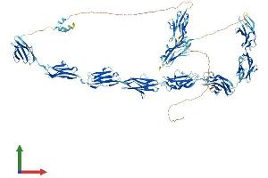 Protein Structure (PS) image for Myosin Binding Protein C, Slow Type (MYBPC1) (AA 1-1141) protein (His tag) (ABIN7554650)