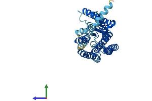 AlphaFold protein structure predicition of Human Recombinant OR5AN1 Protein, UniprotID Q8NGI8 (OR5AN1 Protein (AA 1-311) (His tag))