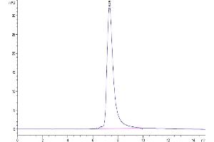 The purity of Human ENPP-2 is greater than 95 % as determined by SEC-HPLC. (ENPP2 Protein (His tag))
