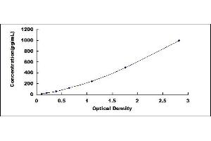 Typical standard curve (NCR3 ELISA 试剂盒)