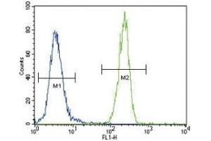 Flow Cytometry (FACS) image for anti-Forkhead Box P3 (FOXP3) (AA 283-311) antibody (ABIN3030998)