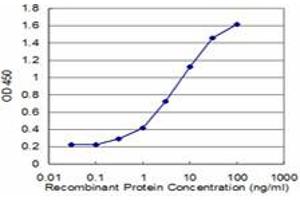 Detection limit for recombinant GST tagged CHP is approximately 0. (CHP 抗体  (AA 1-66))