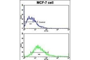 Flow cytometric analysis of MCF-7 cells using DSG2 Antibody (N-term ) (bottom histogram) compared to a negative control cell (top histogram). (Desmoglein 2 抗体  (N-Term))
