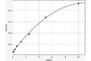 Typical standard curve (BMP15 ELISA 试剂盒)