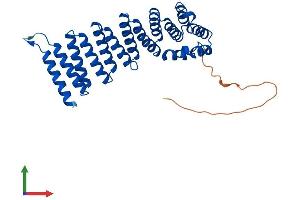 Protein Structure (PS) image for N-Ethylmaleimide-Sensitive Factor Attachment Protein, gamma (NAPG) (AA 1-312) protein (His tag) (ABIN7560698)