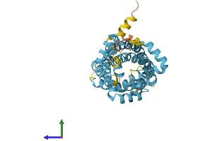 Protein Structure (PS) image for Solute Carrier Family 25 (Mitochondrial Carrier: Glutamate), Member 22 (SLC25A22) (AA 1-323) protein (His tag) (ABIN7547946)
