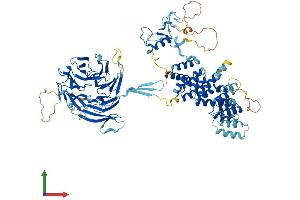 AlphaFold protein structure predicition of Human Recombinant MIOS Protein, UniprotID Q9NXC5