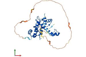AlphaFold protein structure predicition of Mouse Recombinant Pef1 Protein, UniprotID Q8BFY6 (PEF1 Protein (AA 1-275) (His tag))