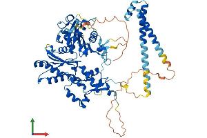 AlphaFold protein structure predicition of Human Recombinant ACTR5 Protein, UniprotID Q9H9F9