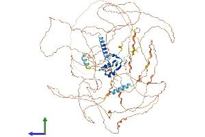 Protein Structure (PS) image for Ring Finger Protein 111 (RNF111) (AA 1-994) protein (His tag) (ABIN7555254)