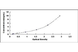 Typical standard curve (Calpain 2 ELISA 试剂盒)