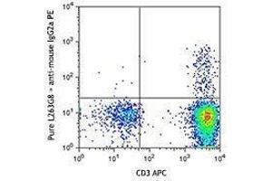 Flow Cytometry (FACS) image for anti-Chemokine (C-C Motif) Receptor 8 (CCR8) antibody (ABIN2664101) (CCR8 抗体)