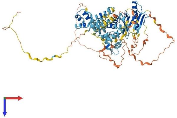 TIGD5 Protein (AA 1-642) (His tag)