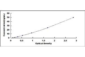 Typical standard curve (ATG5 ELISA 试剂盒)