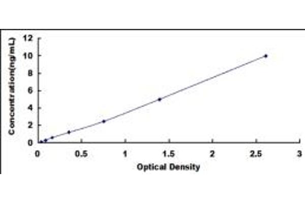 PDIA5 ELISA 试剂盒