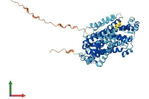 Protein Structure (PS) image for Solute Carrier Family 11 (Proton-Coupled Divalent Metal Ion Transporters), Member 1 (SLC11A1) (AA 1-548) protein (His tag) (ABIN7563233)