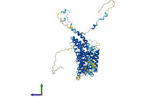 Protein Structure (PS) image for Signal Recognition Particle 68kDa (SRP68) (AA 1-627) protein (His tag) (ABIN7546463)
