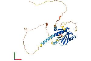 Protein Structure (PS) image for Low Density Lipoprotein Receptor Adaptor Protein 1 (LDLRAP1) (AA 1-308) protein (His tag) (ABIN7552321)