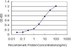 Detection limit for recombinant GST tagged PET112L is approximately 0. (PET112L 抗体  (AA 466-556))