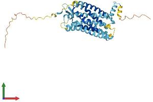 Protein Structure (PS) image for Chemokine (C-X-C Motif) Receptor 2 (CXCR2) (AA 1-359) protein (His tag) (ABIN7563164)
