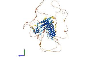 Protein Structure (PS) image for Breast Cancer Anti-Estrogen Resistance 1 (BCAR1) (AA 1-870) protein (His tag) (ABIN7552559)