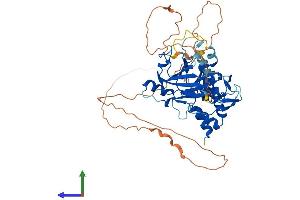 Protein Structure (PS) image for SMAD, Mothers Against DPP Homolog 6 (SMAD6) (AA 1-496) protein (His tag) (ABIN7546102)