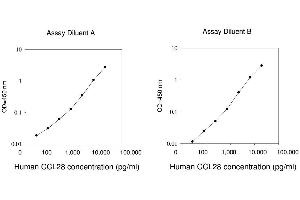 ELISA image for Chemokine (C-C Motif) Ligand 28 (CCL28) ELISA Kit (ABIN1979920) (CCL28 ELISA 试剂盒)