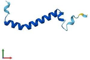 Protein Structure (PS) image for Ubiquinol-Cytochrome C Reductase, Complex III Subunit XI (UQCR11) (AA 1-56) protein (Fc Tag) (ABIN7560488)
