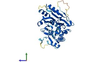 Protein Structure (PS) image for ELAC1 (ELAC1) (AA 1-362) protein (His tag) (ABIN7559900)