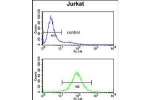 Flow cytometry analysis of Jurkat cells (bottom histogram) compared to a negative control cell (top histogram). (PCCB 抗体  (AA 82-107))