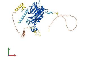 Protein Structure (PS) image for Methyltransferase Like 14 (METTL14) (AA 1-456) protein (His tag) (ABIN7563725)
