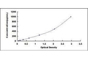 ELISA image for Slow Skeletal Troponin T (TNNT1) ELISA Kit (ABIN3158462) (TNNT1 ELISA 试剂盒)