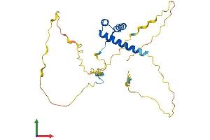 AlphaFold protein structure predicition of Mouse Recombinant Cdx1 Protein, UniprotID P18111