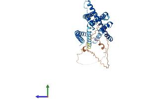 Protein Structure (PS) image for Potassium Channel, Subfamily K, Member 9 (KCNK9) (AA 1-374) protein (His tag) (ABIN7548776)