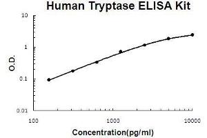 Human Tryptase PicoKine ELISA Kit standard curve (TPSAB1 ELISA 试剂盒)